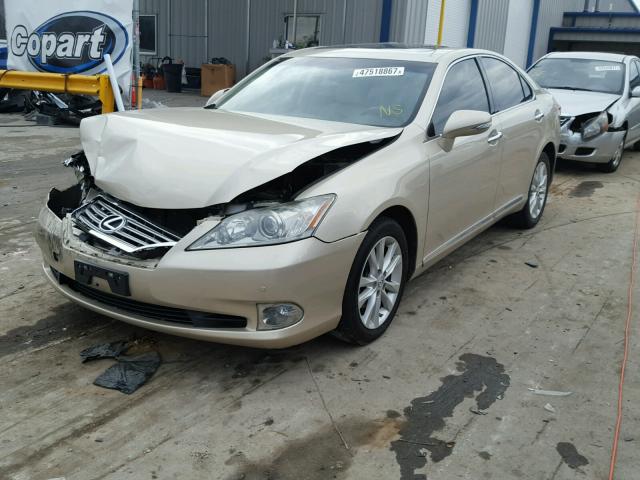 JTHBK1EG8B2460835 - 2011 LEXUS ES 350 GOLD photo 2