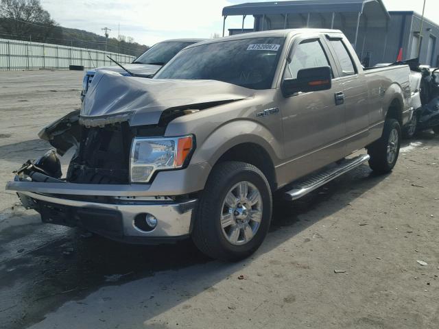 1FTEX1CM8BFD01850 - 2011 FORD F150 SUPER GOLD photo 2