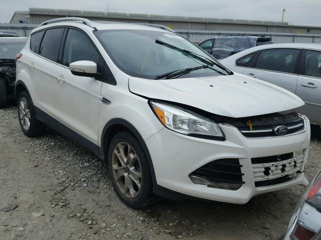 1FMCU0J96EUE09646 - 2014 FORD ESCAPE TIT WHITE photo 1