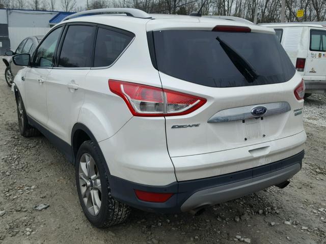 1FMCU0J96EUE09646 - 2014 FORD ESCAPE TIT WHITE photo 3