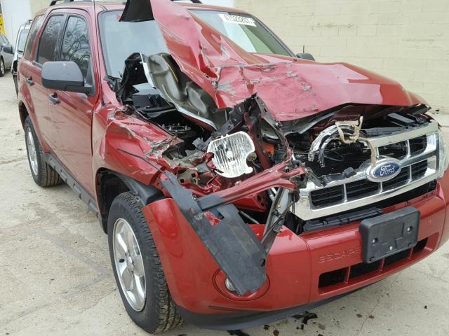 1FMCU0DG3CKB28150 - 2012 FORD ESCAPE XLT RED photo 1