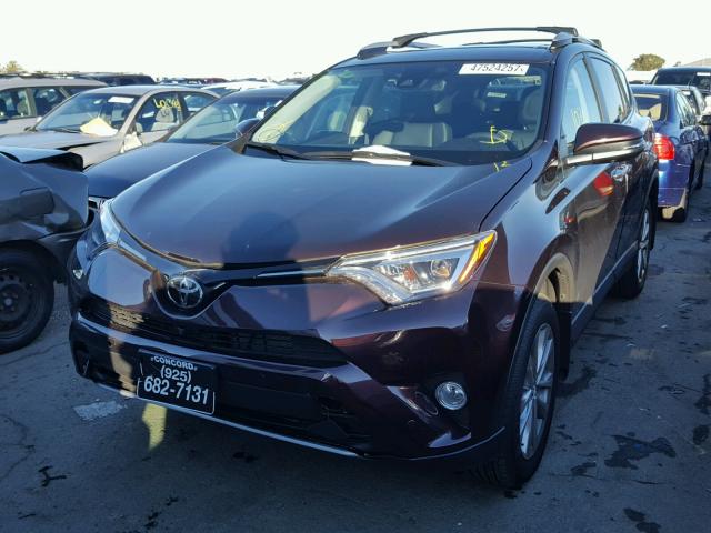 2T3DFREV3HW690522 - 2017 TOYOTA RAV4 LIMIT PURPLE photo 2