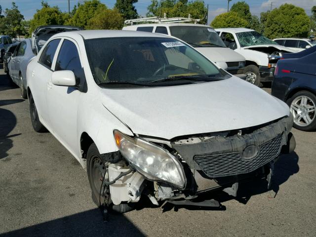 1NXBU4EE2AZ355086 - 2010 TOYOTA COROLLA BA WHITE photo 1