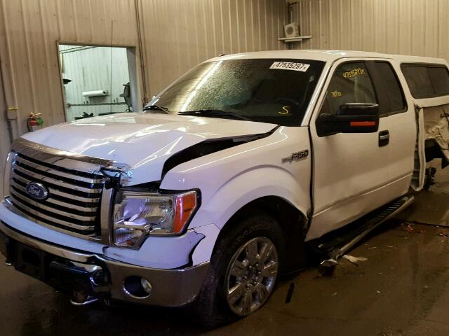 1FTFX1EF8BKD44255 - 2011 FORD F150 SUPER WHITE photo 2