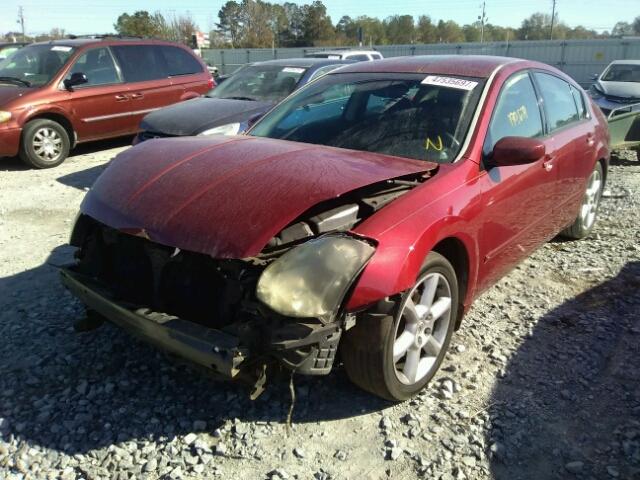 1N4BA41E34C905981 - 2004 NISSAN MAXIMA SE RED photo 2