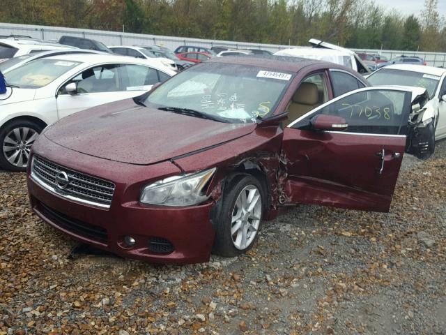 1N4AA5AP9BC834589 - 2011 NISSAN MAXIMA S MAROON photo 2