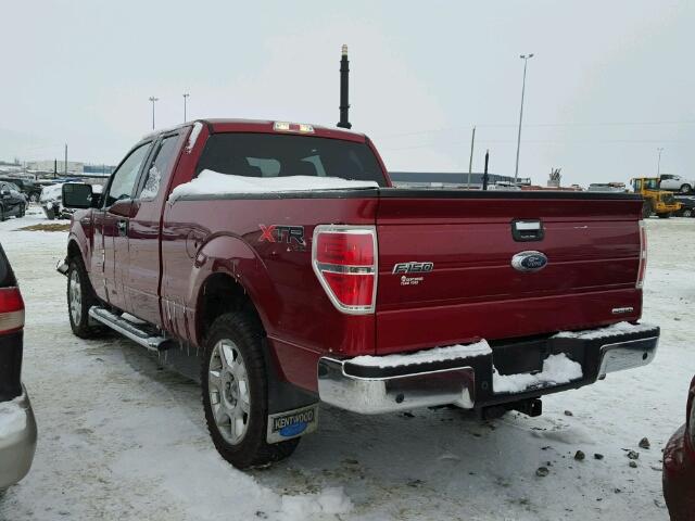 1FTFX1EF3DFD06508 - 2013 FORD F150 SUPER RED photo 3