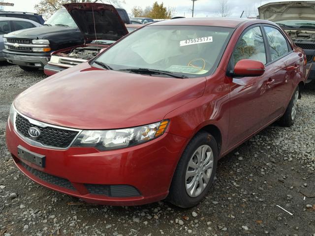 KNAFU4A21C5557719 - 2012 KIA FORTE EX RED photo 2