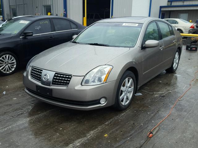 1N4BA41E64C918126 - 2004 NISSAN MAXIMA SE TAN photo 2