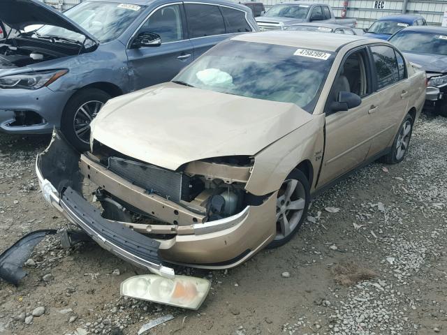 1G1ZT54834F106501 - 2004 CHEVROLET MALIBU LS ოქროსფერი ფოტო 2