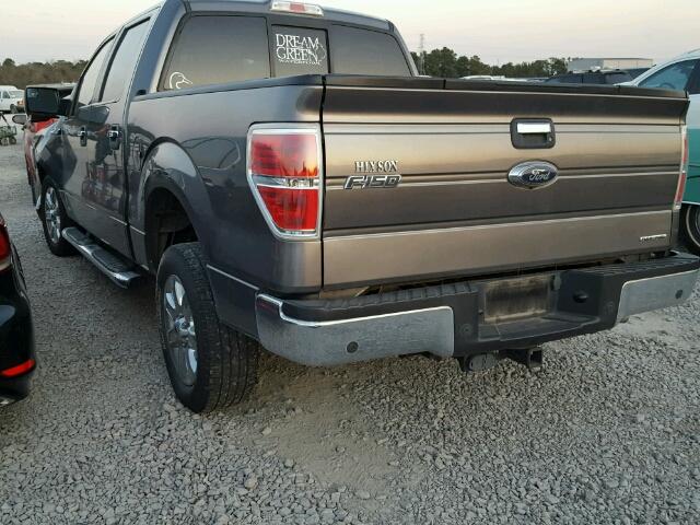 1FTFW1CF5EFA40707 - 2014 FORD F150 SUPER GRAY photo 3