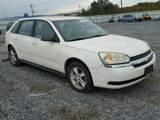 1G1ZT62834F202380 - 2004 CHEVROLET MALIBU MAX WHITE photo 1