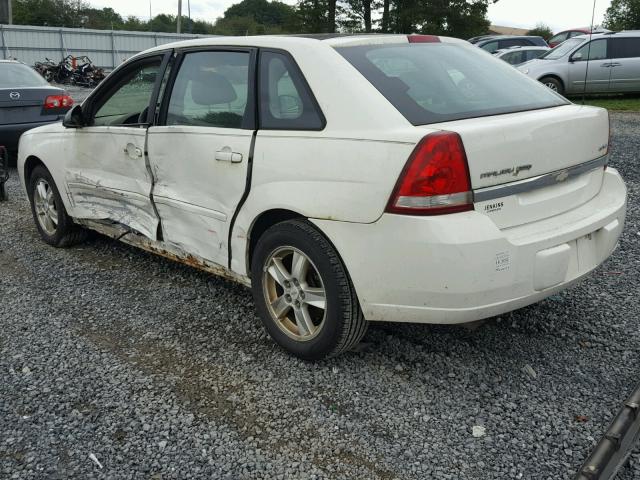 1G1ZT62834F202380 - 2004 CHEVROLET MALIBU MAX თეთრი ფოტო 3