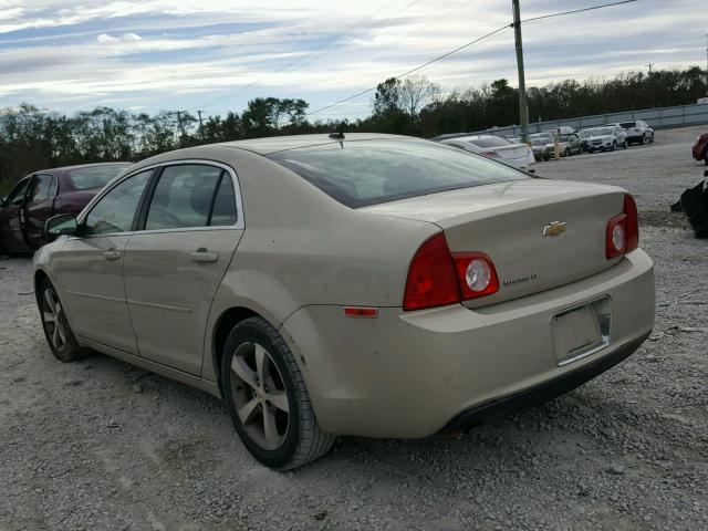 1G1ZC5E15BF347121 - 2011 CHEVROLET MALIBU 1LT BEIGE photo 3