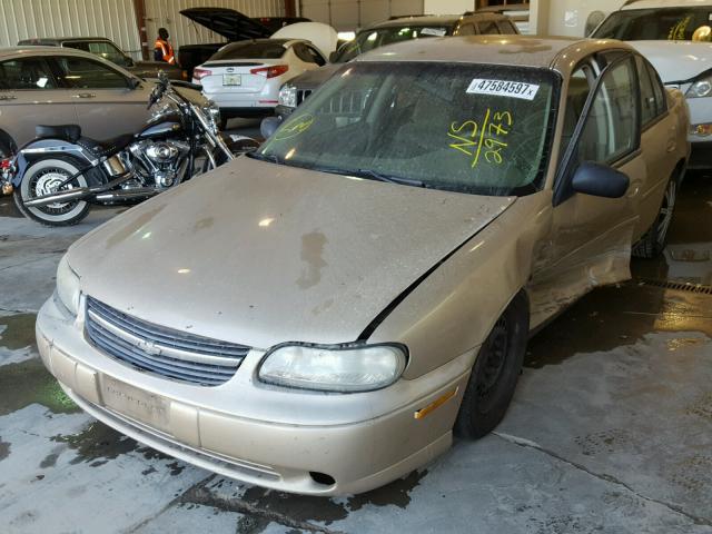 1G1ND52J32M572973 - 2002 CHEVROLET MALIBU GOLD photo 2