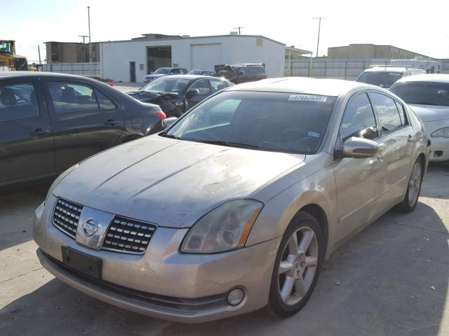 1N4BA41E95C827112 - 2005 NISSAN MAXIMA SE GOLD photo 2