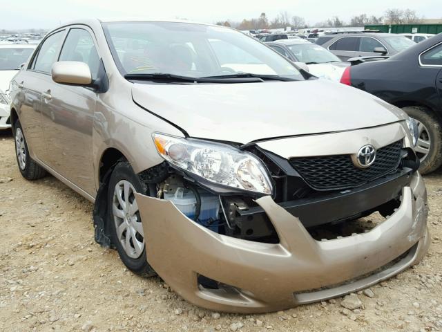 1NXBU40E59Z014462 - 2009 TOYOTA COROLLA BA GOLD photo 1