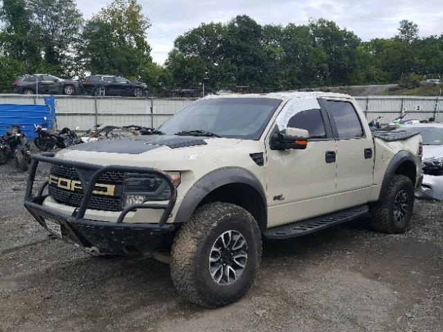 1FTFW1R69DFD25903 - 2013 FORD F150 SVT R WHITE photo 2