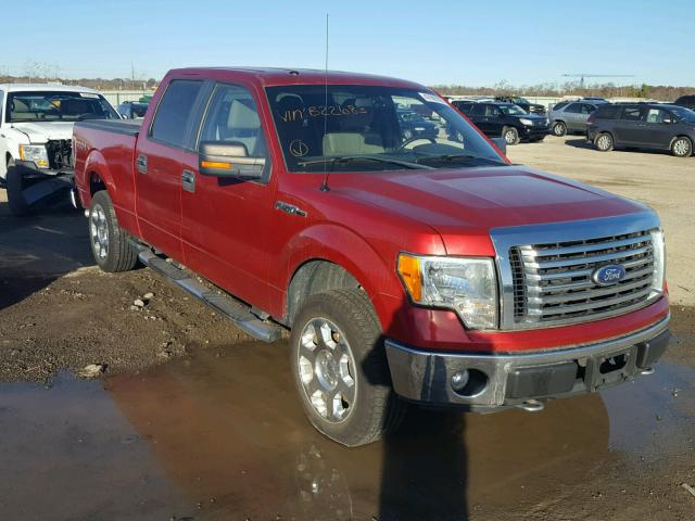 1FTFW1EV2AFB22683 - 2010 FORD F150 SUPER RED photo 1