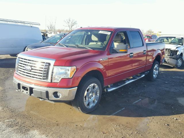 1FTFW1EV2AFB22683 - 2010 FORD F150 SUPER RED photo 2