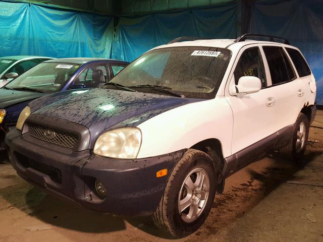 KM8SC13D33U392873 - 2003 HYUNDAI SANTA FE G WHITE photo 2