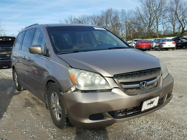 5FNRL38476B085534 - 2006 HONDA ODYSSEY EX GOLD photo 1