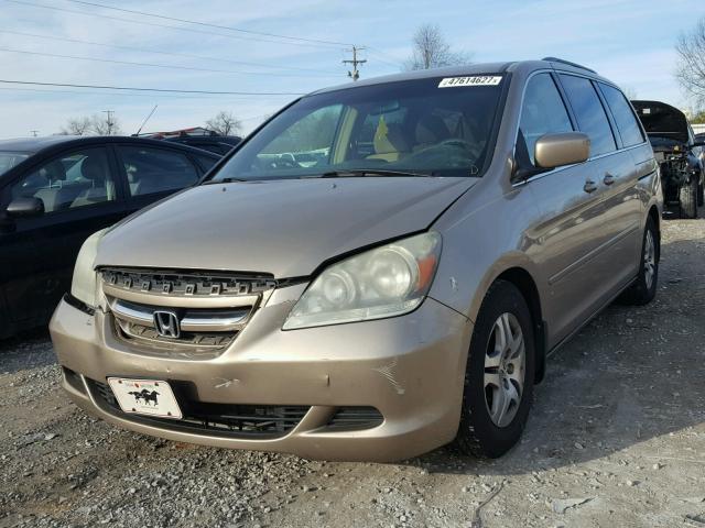 5FNRL38476B085534 - 2006 HONDA ODYSSEY EX GOLD photo 2