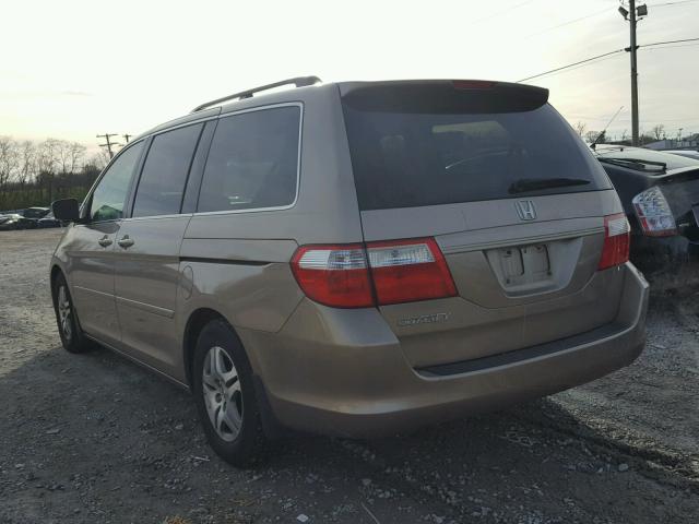 5FNRL38476B085534 - 2006 HONDA ODYSSEY EX GOLD photo 3