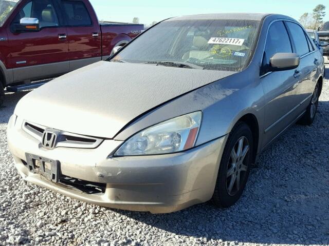 1HGCM66513A051143 - 2003 HONDA ACCORD EX GOLD photo 2