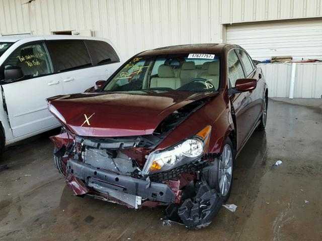 1HGCP2F87CA164282 - 2012 HONDA ACCORD EXL BURGUNDY photo 2