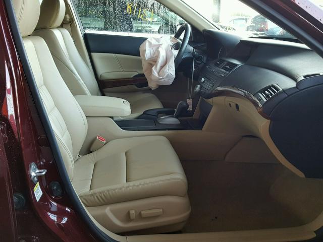 1HGCP2F87CA164282 - 2012 HONDA ACCORD EXL BURGUNDY photo 5