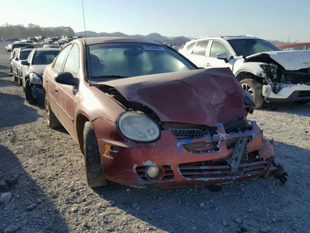 1B3ES56C55D284984 - 2005 DODGE NEON SXT MAROON photo 1