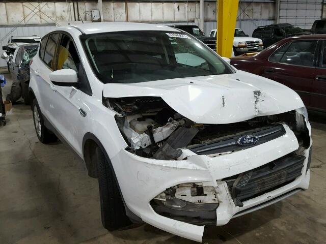 1FMCU9GX2DUA24903 - 2013 FORD ESCAPE SE 白色 照片 1