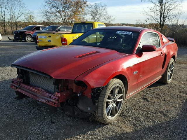 1ZVBP8CF8D5231463 - 2013 FORD MUSTANG GT RED photo 2