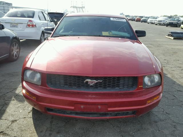 1ZVFT80N855111317 - 2005 FORD MUSTANG RED photo 10