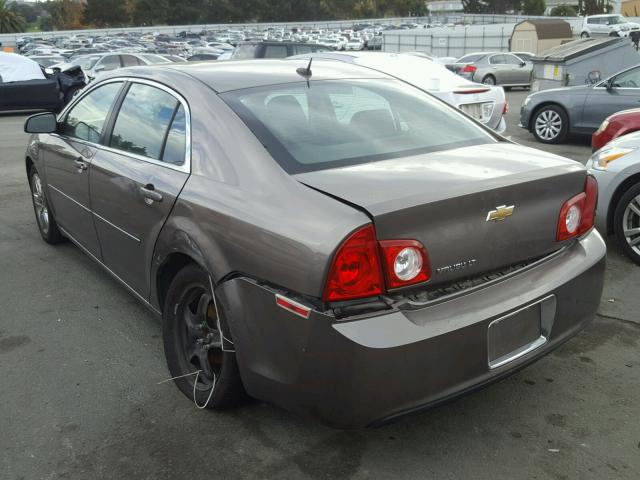 1G1ZC5EB5AF235488 - 2010 CHEVROLET MALIBU 1LT 棕色 照片 3