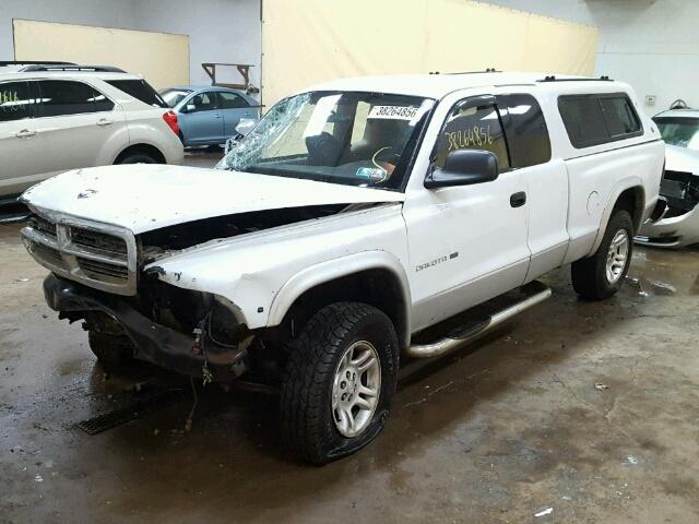 1B7GG42N82S616482 - 2002 DODGE DAKOTA SLT WHITE photo 2