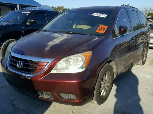 5FNRL38669B055026 - 2009 HONDA ODYSSEY EX MAROON photo 2