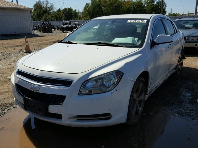 1G1ZF57529F216469 - 2009 CHEVROLET MALIBU HYB WHITE photo 2