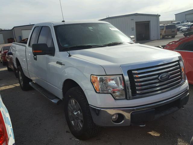 1FTFX1EV7AKC33282 - 2010 FORD F150 SUPER WHITE photo 1