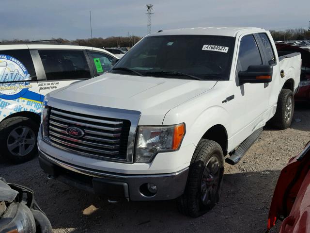 1FTFX1EV7AKC33282 - 2010 FORD F150 SUPER WHITE photo 2