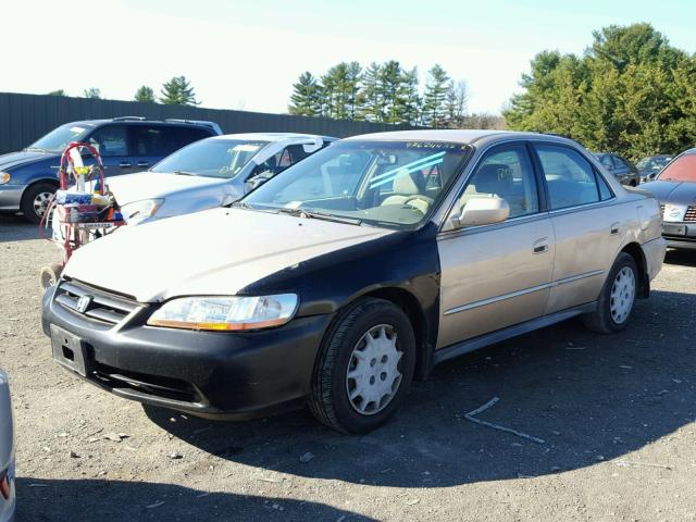 1HGCG56472A119128 - 2002 HONDA ACCORD LX GOLD photo 2