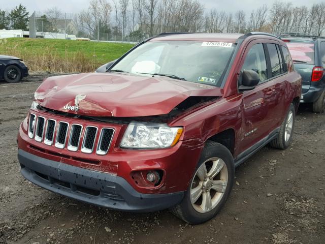 1J4NF1FB1BD134962 - 2011 JEEP COMPASS SP RED photo 2