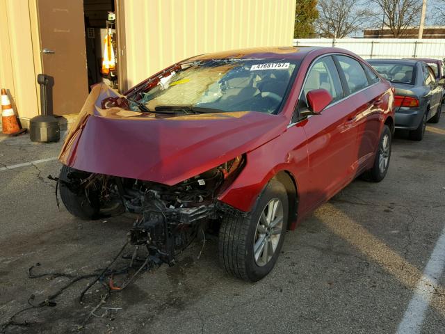 5NPE24AF4FH121345 - 2015 HYUNDAI SONATA SE MAROON photo 2