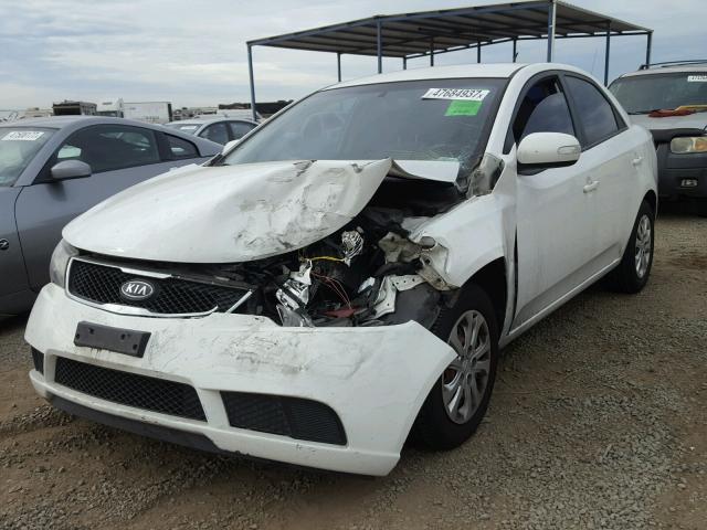 KNAFU4A27A5053317 - 2010 KIA FORTE EX WHITE photo 2