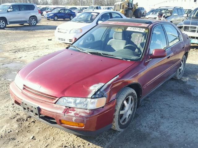 1HGCD5654SA058905 - 1995 HONDA ACCORD EX MAROON photo 2