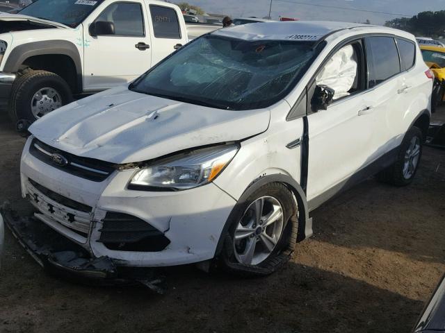 1FMCU0GX6EUD03123 - 2014 FORD ESCAPE SE WHITE photo 2