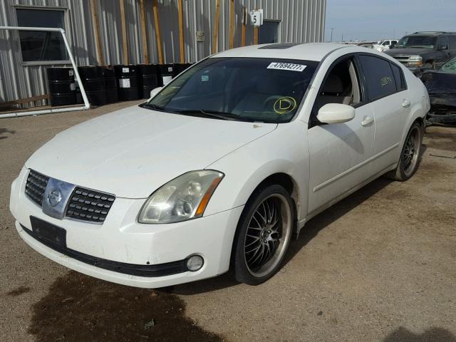 1N4BA41EX5C826745 - 2005 NISSAN MAXIMA SE WHITE photo 2