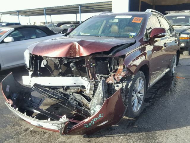 2T2ZK1BA5DC106433 - 2013 LEXUS RX 350 MAROON photo 2