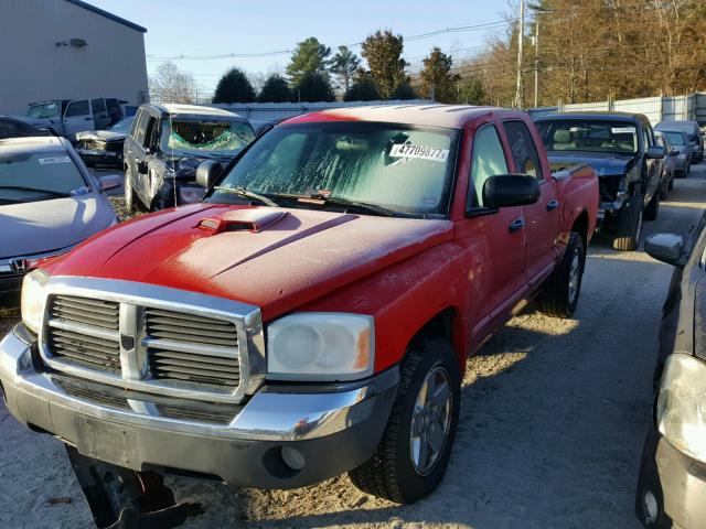 1D7HE48K85S165541 - 2005 DODGE DAKOTA QUA RED photo 2